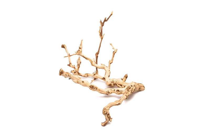 Small Grape Wood branch, 8-14 inches, from DH, showing textured, natural grapevine wood with twisted, rustic appearance.