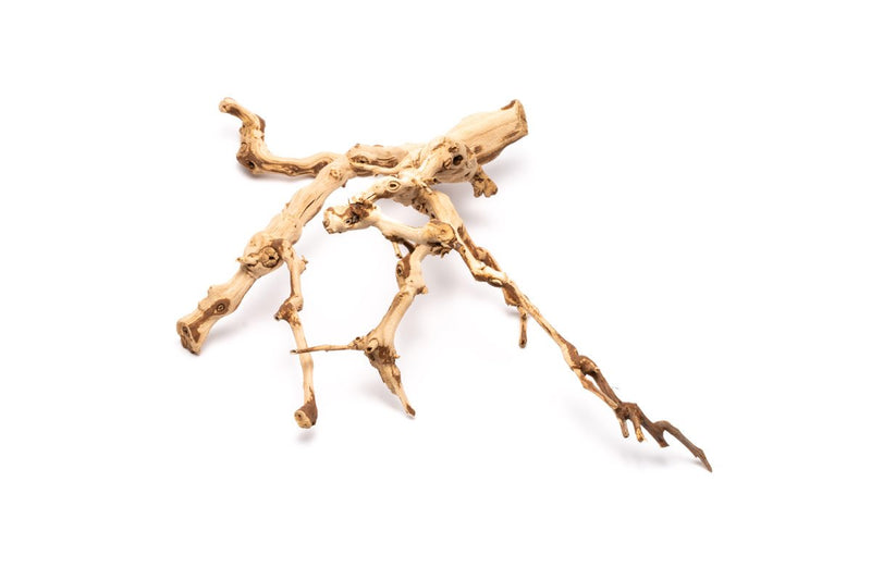 Small Grape Wood piece from DH, 8-14 inches long, with textured, natural grapevine wood appearance.