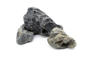 Hakkai Stone Stone - Buce Plant