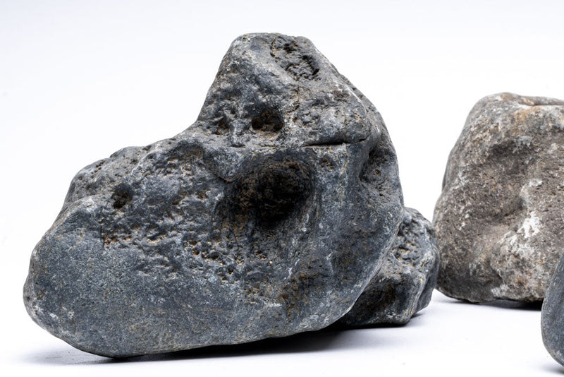 Hakkai Accent Stone by UNSHARDSCAPE, smooth gray decorative stone for landscaping or garden accents.