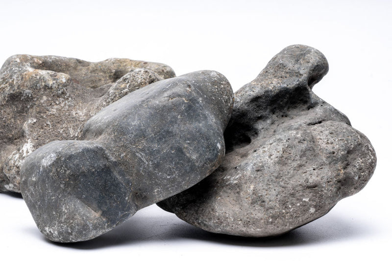 Hakkai Stone Stone - Buce Plant