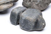 Hakkai Stone Stone - Buce Plant
