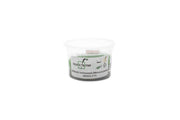 Hedyotis Salzmannii Aquatic Farmer Tissue Culture Aquatic Plant - Buce Plant