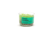 Hedyotis Salzmannii UNS Tissue Culture Aquatic Plant - Buce Plant