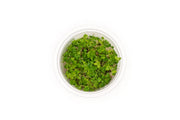 Hydrocotyle Tripartita Aquatic Farmer Tissue Culture Aquatic Plant - Buce Plant