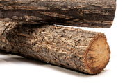 Log Wood Driftwood - Buce Plant