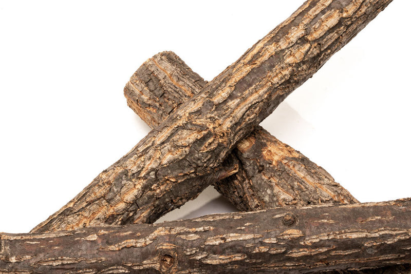 Log Wood Driftwood - Buce Plant