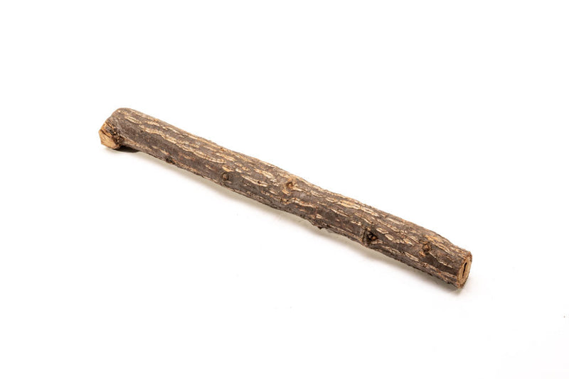 Log Wood Driftwood - Buce Plant