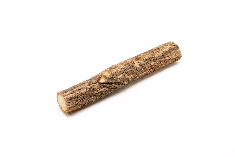 Log Wood Driftwood - Buce Plant