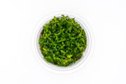 Ludwigia Dark Orange Aquatic Farmer Tissue Culture Tissue Culture - Buce Plant