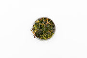Ludwigia Peruensis/Glandulosa Aquatic Farmer Tissue Culture Aquatic Plant - Buce Plant