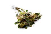 Ludwigia Sedioides Aquatic Plant - Buce Plant