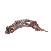 Malaysian Driftwood Driftwood - Buce Plant