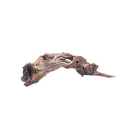 Malaysian Driftwood Driftwood - Buce Plant