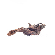 Malaysian Driftwood Driftwood - Buce Plant