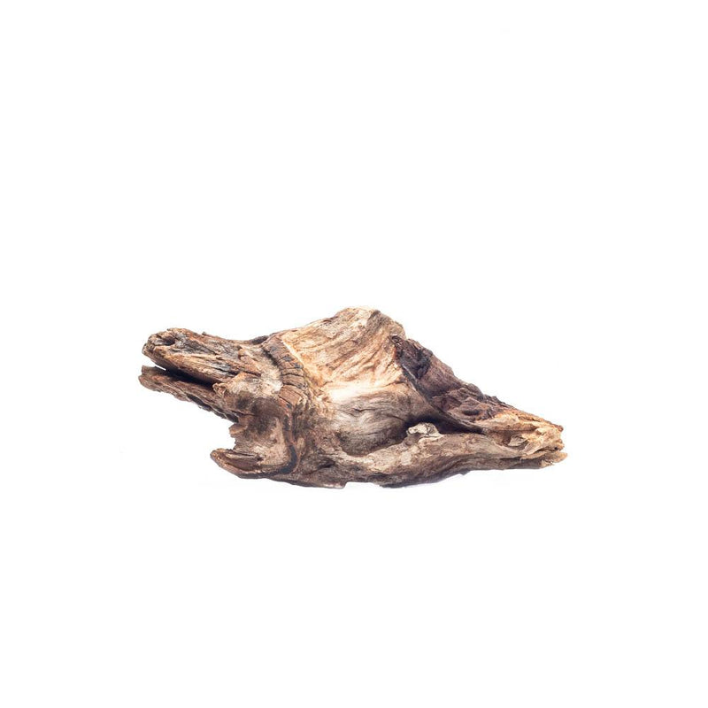 Malaysian Driftwood Driftwood - Buce Plant