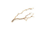Natural Manzanita Driftwood piece with twisted branches and smooth, weathered surface, perfect for decorative or artistic use.