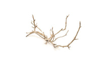Natural Manzanita Driftwood piece showing smooth, twisted branches with warm, reddish-brown tones for decorative display.