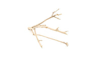 Natural Manzanita Driftwood piece with twisted branches, showcasing smooth, weathered wood suitable for decorations or art projects.