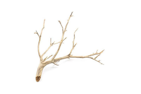 Manzanita Driftwood Aquarium Driftwood — Buce Plant