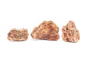 Maple Leaf Stone by UNSHARDSCAPE featuring a realistic stone with a detailed maple leaf design for garden decoration.