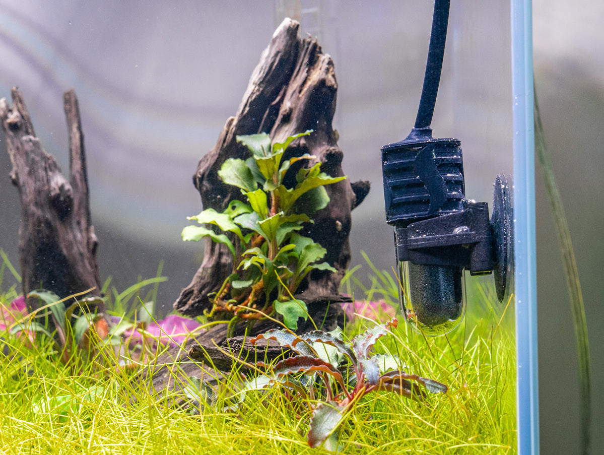 Curated visual reference: Picture Idea: Micro Aquarium Heater