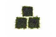 Mini Christmas moss on stainless steel display, showcasing lush green moss from BUCE for decorative use.
