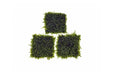Mini Christmas Moss on Stainless Steel - BucePlant.com