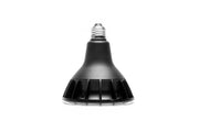 ONF Aditya Plant Light with adjustable arm and LED grow light for indoor gardening and plant growth.