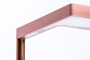 ONF Flat Nano LED Light Lighting - Buce Plant