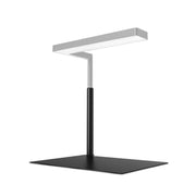 ONF Flat Nano Stand Kit Lighting - Buce Plant