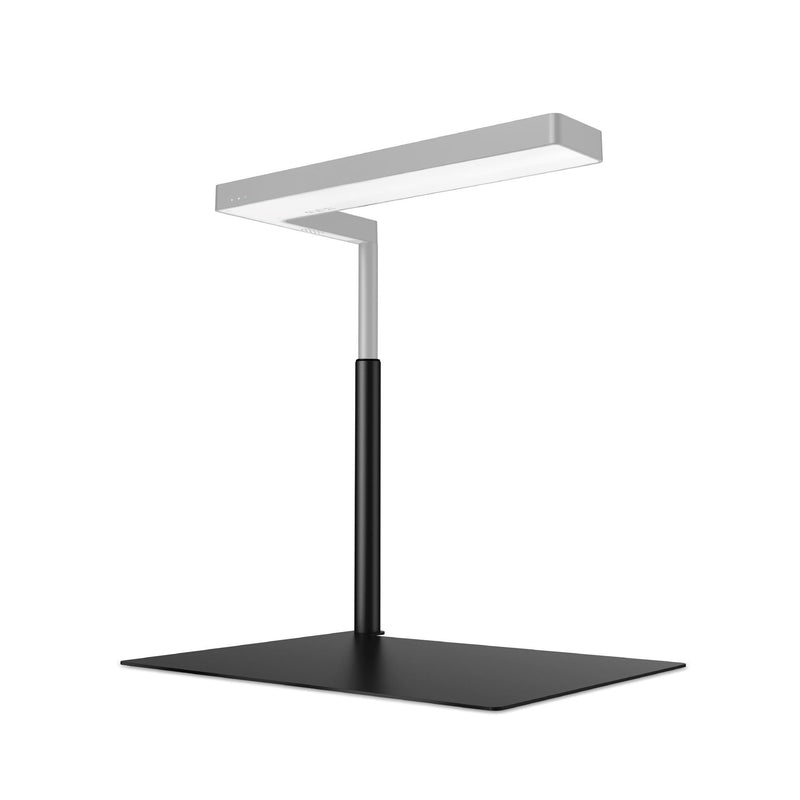 ONF Flat Nano Stand Kit Lighting - Buce Plant