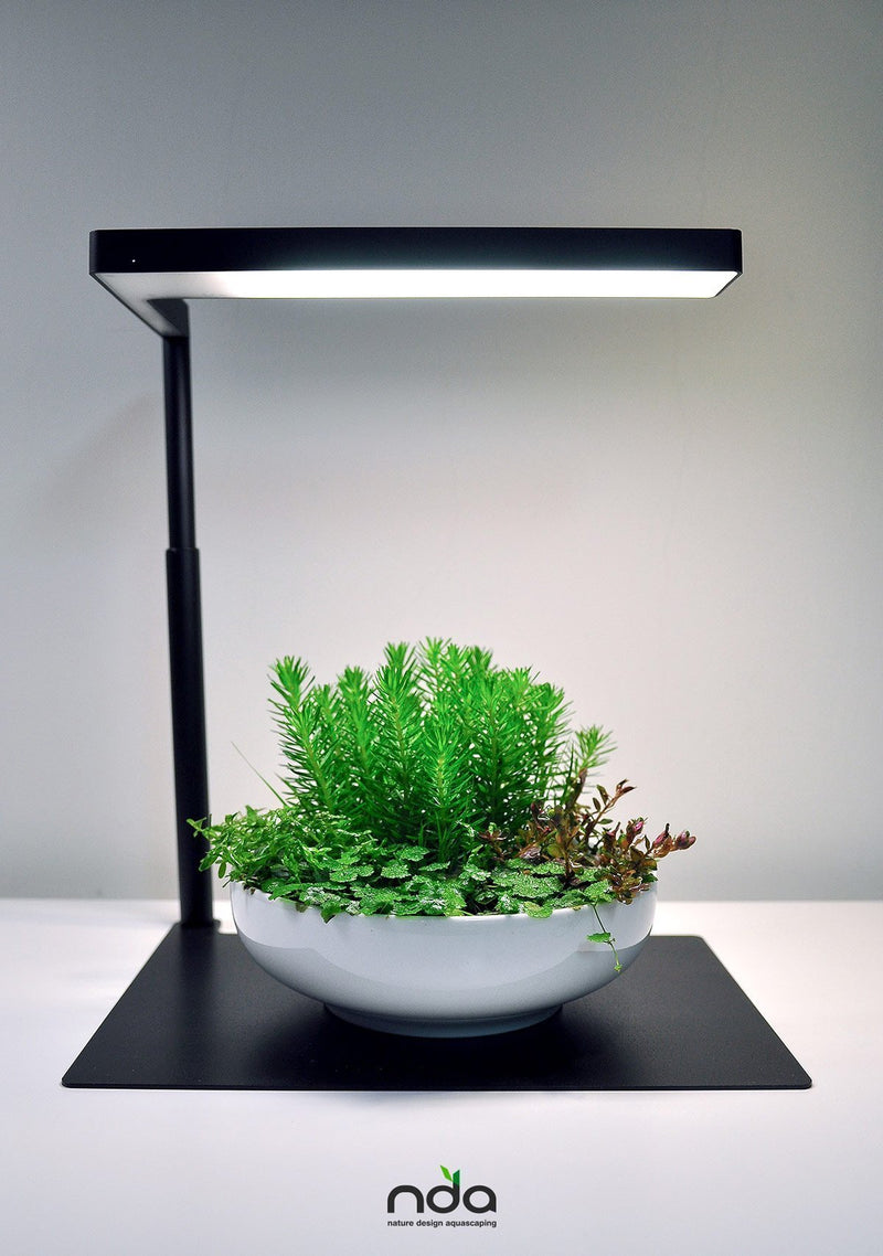 ONF Flat Nano Stand LED Light on a desk, compact lighting device with adjustable stand for photography or video illumination.