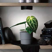 ONF Mist O Puck LED light, compact lighting device with a sleek design, ideal for ambient or decorative illumination.