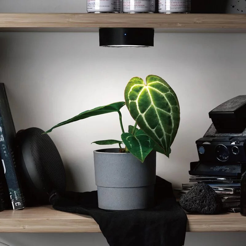 ONF Mist O Puck LED light, compact lighting device with a sleek design, ideal for ambient or decorative illumination.