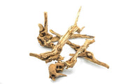 Pacific Wood Driftwood - Buce Plant