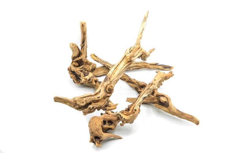 Pacific Wood Driftwood - Buce Plant