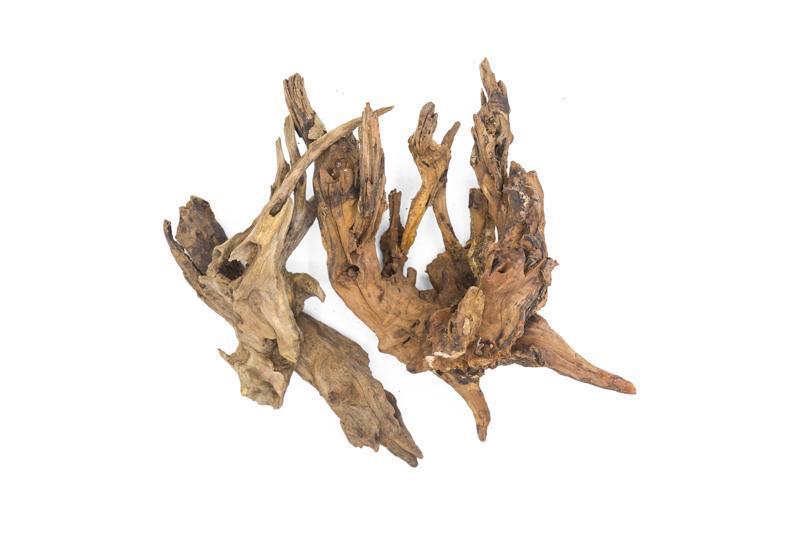 Pacific Wood Driftwood - Buce Plant