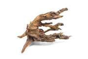 Pacific Wood Driftwood - Buce Plant