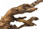 Pacific Wood Driftwood - Buce Plant
