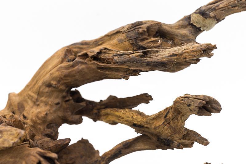 Pacific Wood Driftwood - Buce Plant