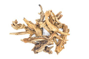 Pacific Wood Driftwood - Buce Plant