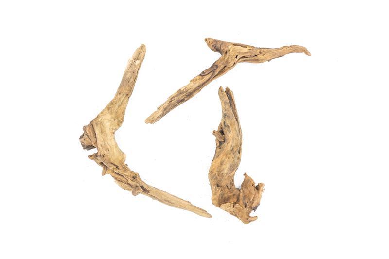 Pacific Wood Driftwood - Buce Plant