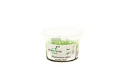 Pearl Moss Aquatic Farmer Tissue Culture Aquatic Plant - Buce Plant