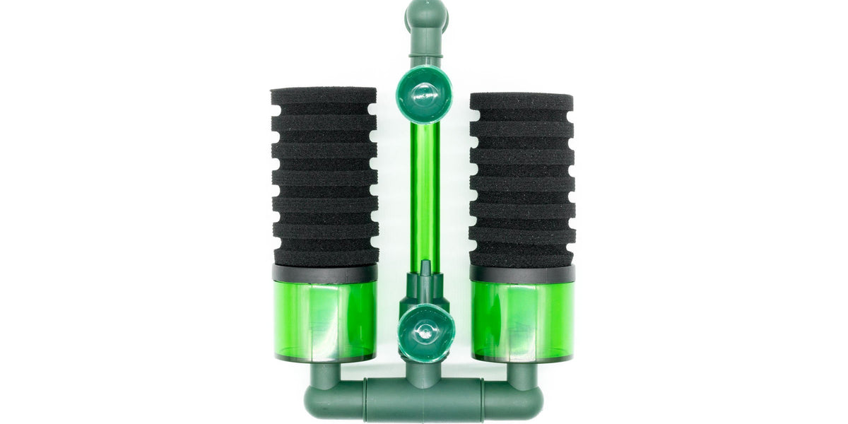 Qanvee Sponge Filter — Buce Plant