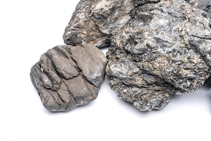 Rhino Stone Stone - Buce Plant
