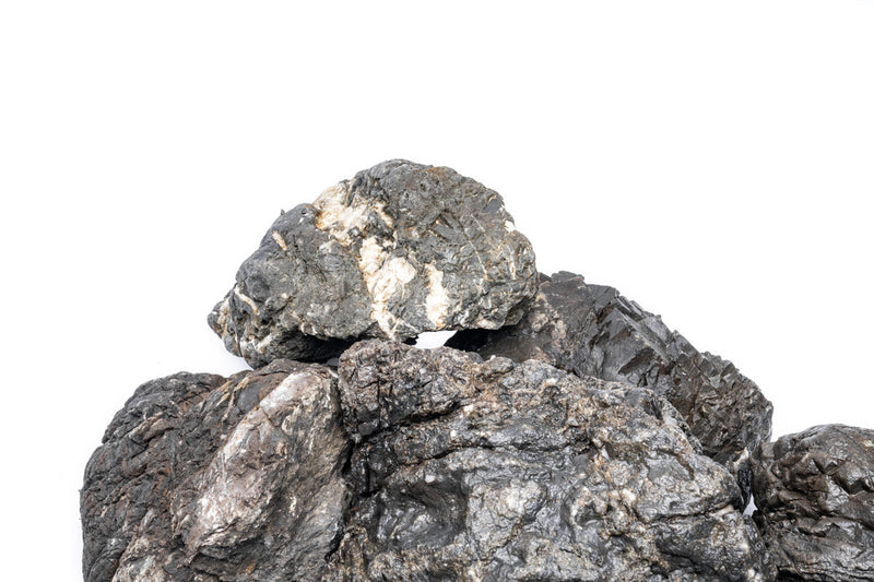Rhino Stone Stone - Buce Plant