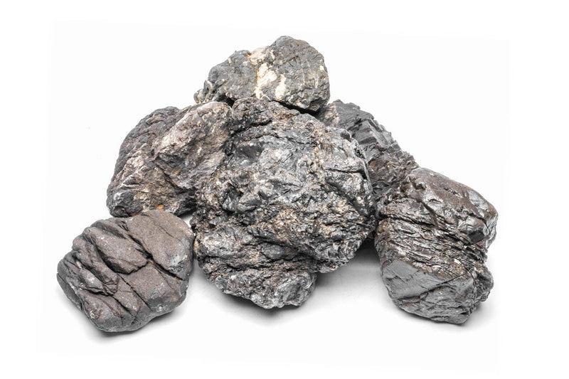 Rhino Stone Stone - Buce Plant
