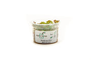 Rotala H'ra Aquatic Farmer Tissue Culture Aquatic Plant - Buce Plant
