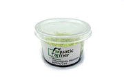 Rotala Rotundifolia PLATINUM Aquatic Farmer Tissue Culture Aquatic Plant - Buce Plant